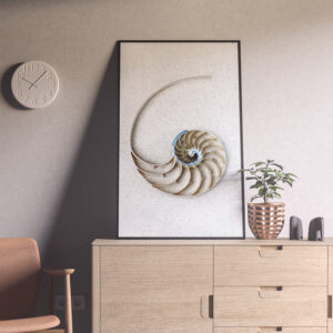 Minimalist Nautilus Centrepiece Shell Photo Print