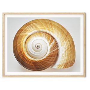 Photo Prints