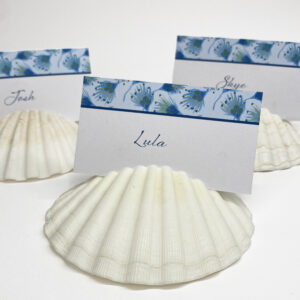 Pecten maximus shells arranged as place card holders