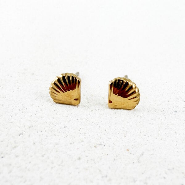 Small Clam Studs