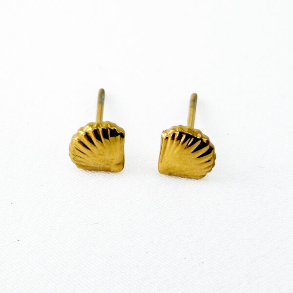 Small Clam Studs