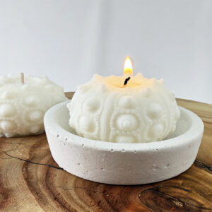 Sputnik Urchin Candle