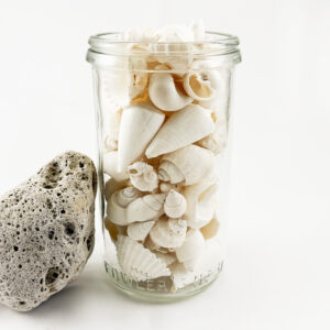 Bulk White Mixed Shells