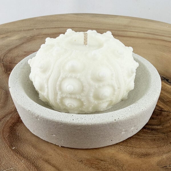 Small Round concrete base