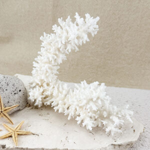 Acropora Bottlebrush coral