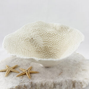 Turbinaria Coral