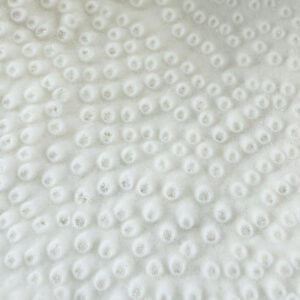Turbinaria Coral