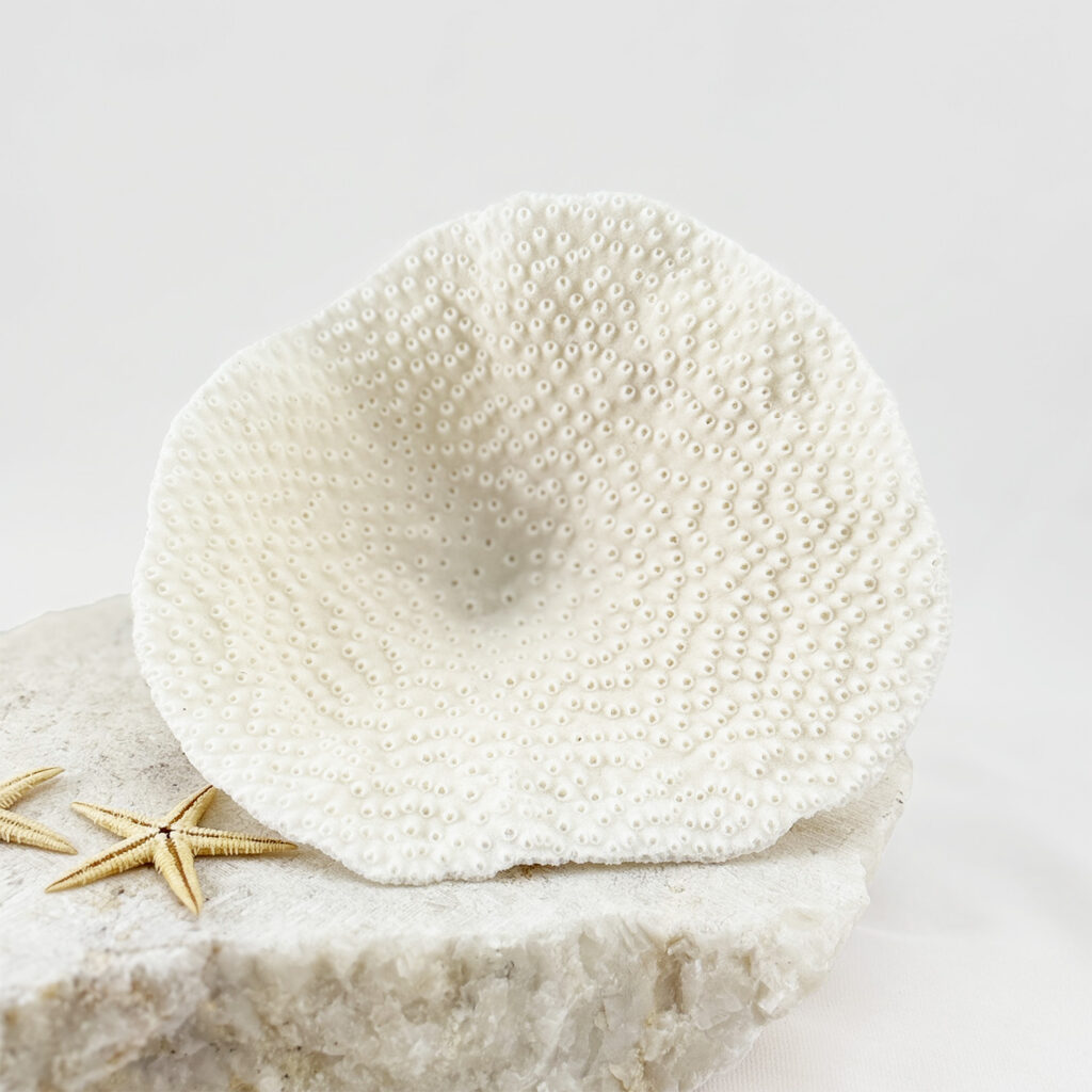 Coral – Turbinaria #5 (130x140×60mm) - Simply Shells
