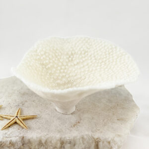 Turbinaria Coral