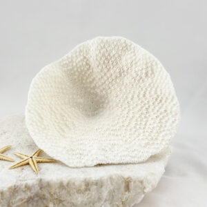 Turbinaria Coral