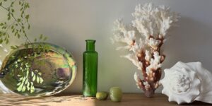 Sea Shell Decor