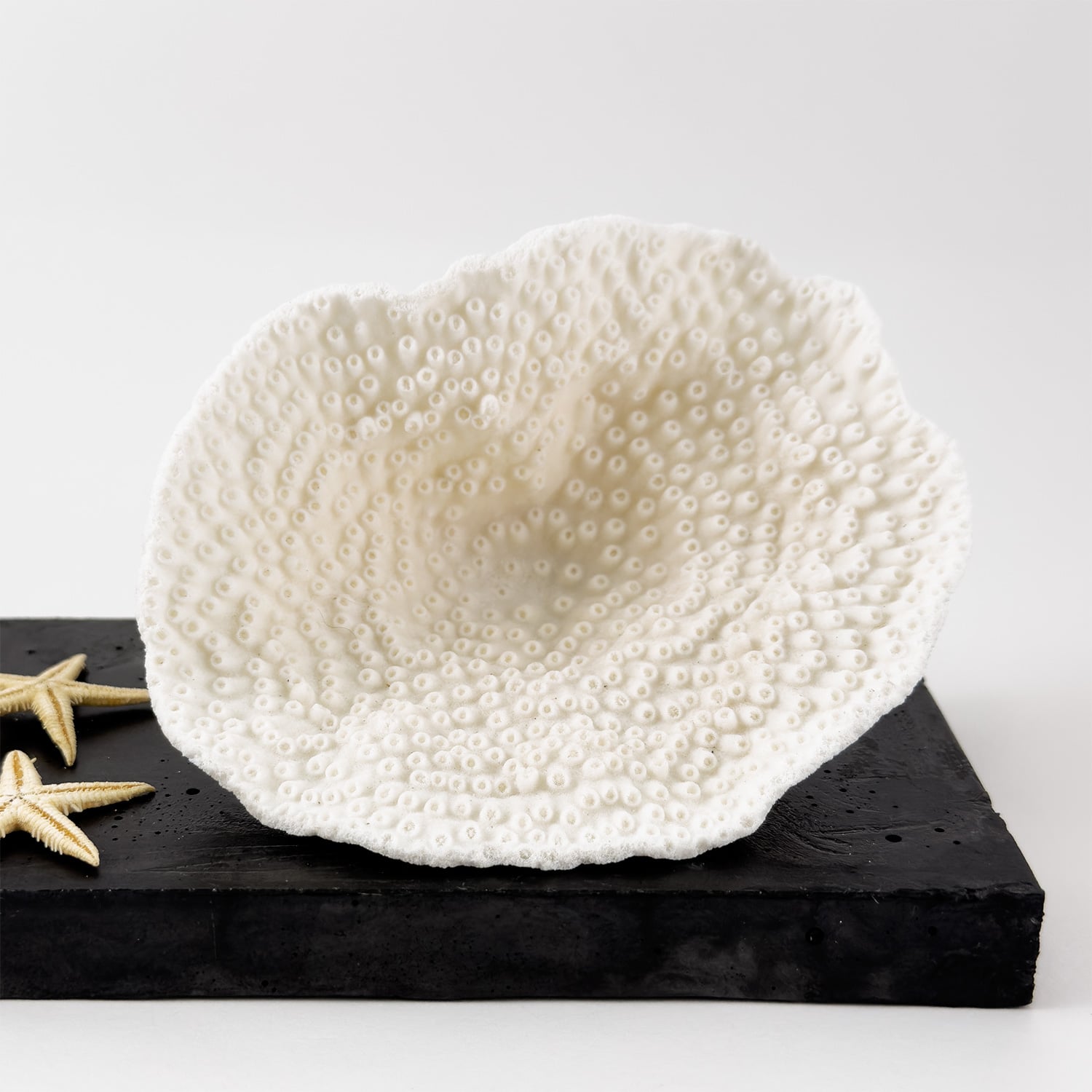Turbinaria Coral