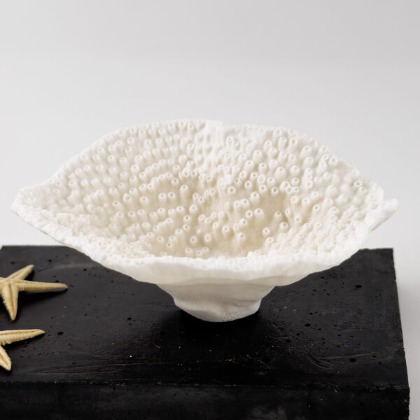 Turbinaria Coral