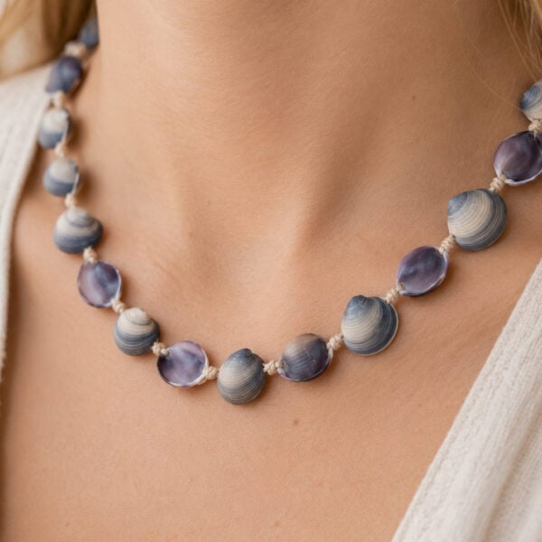 Purple Cay Cay shells