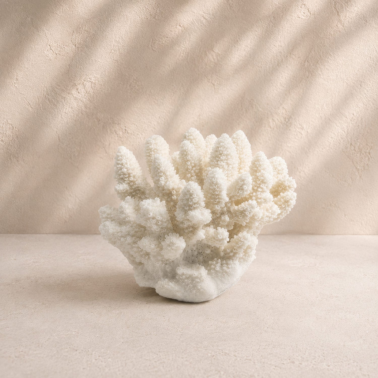 Finger Coral