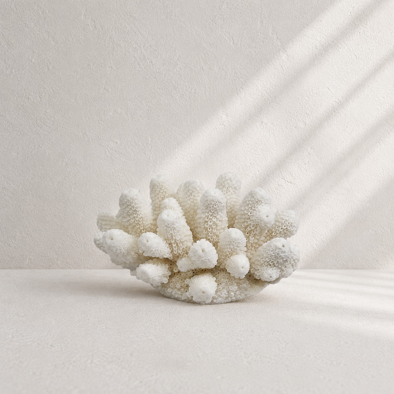 Finger Coral