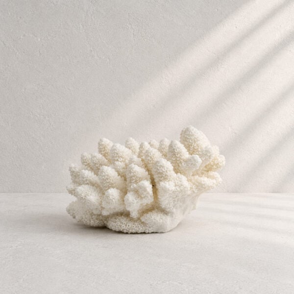 Finger Coral