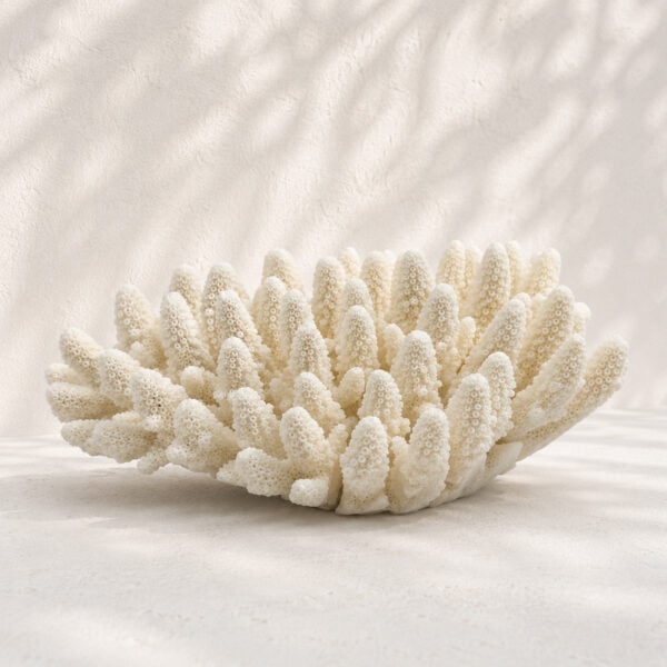 Finger Coral