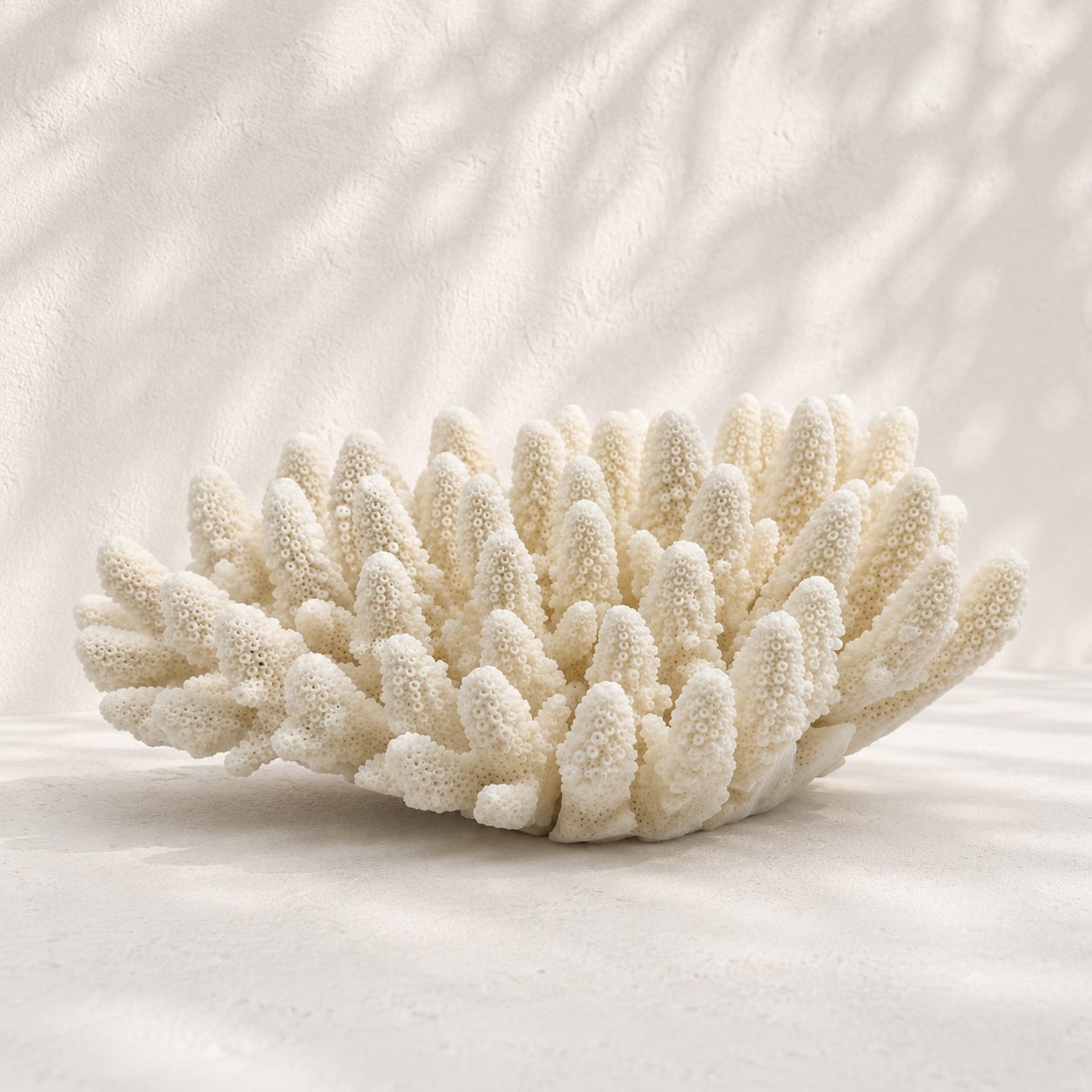 Finger Coral